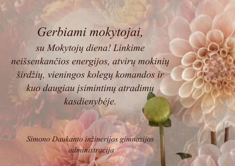 Įrašas be pavadinimo 9028
